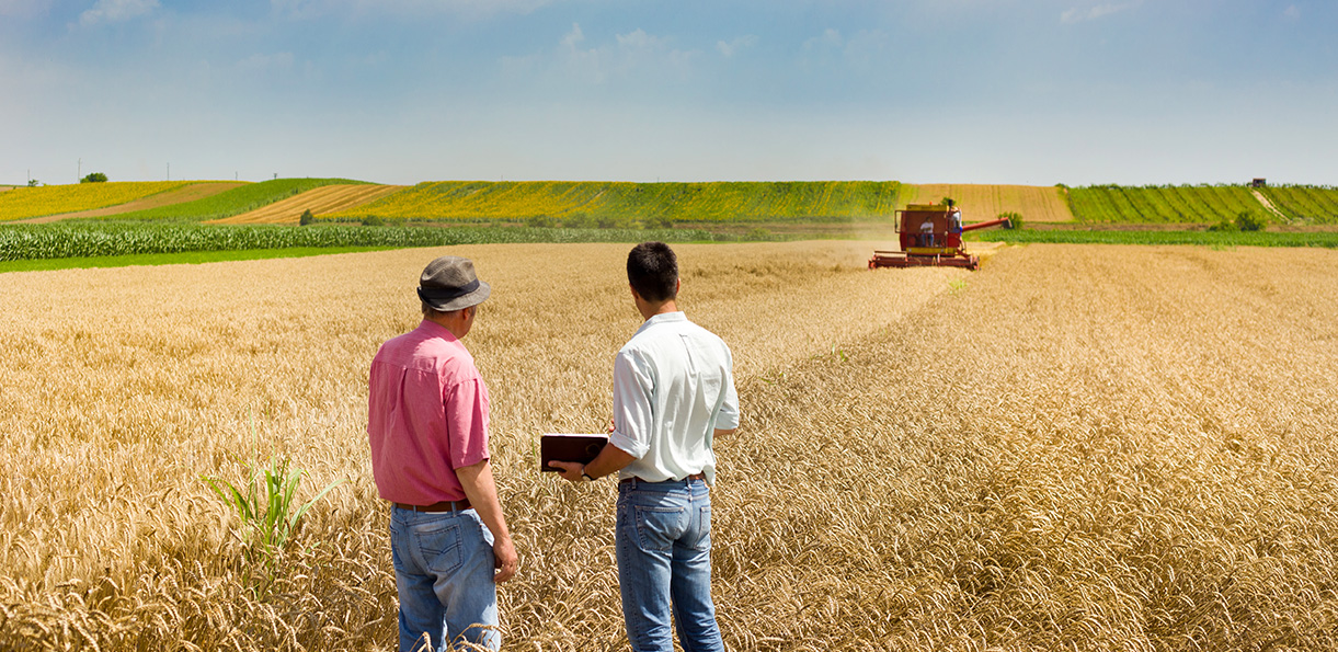 Make the world better